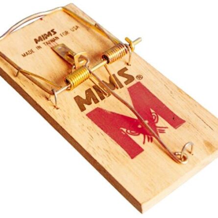 Musefælde klapfælde - 2 stk.