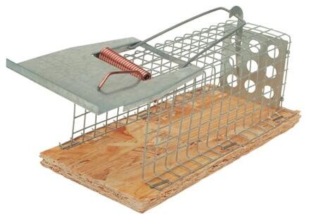 Musefælde kasse grøn plast - 2 stk.